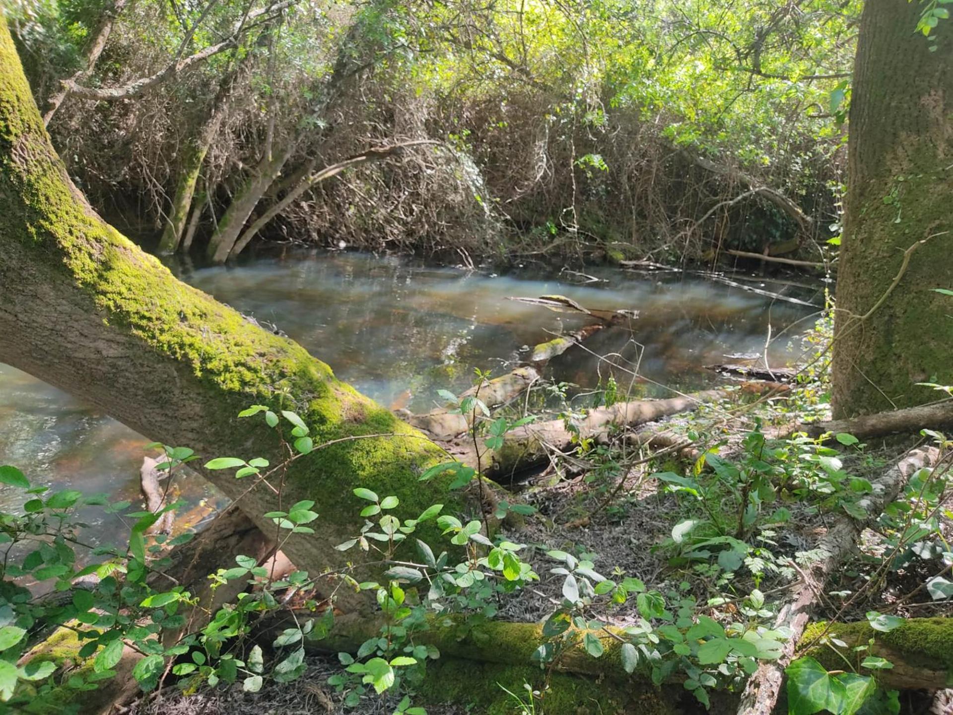 Herdade Da Maceira Villa Сао Луис Екстериор снимка